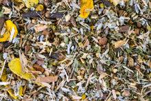 Load image into Gallery viewer, Mouth