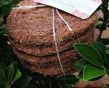 Load image into Gallery viewer, Coconut Coir Utensil Scrub (6 pack/12 pack) - FREE US Shipping
