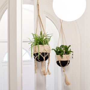 Plant Hanger - Nadu (Set of 2)